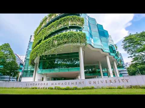 منحة جامعة سنغافورة للإدارة