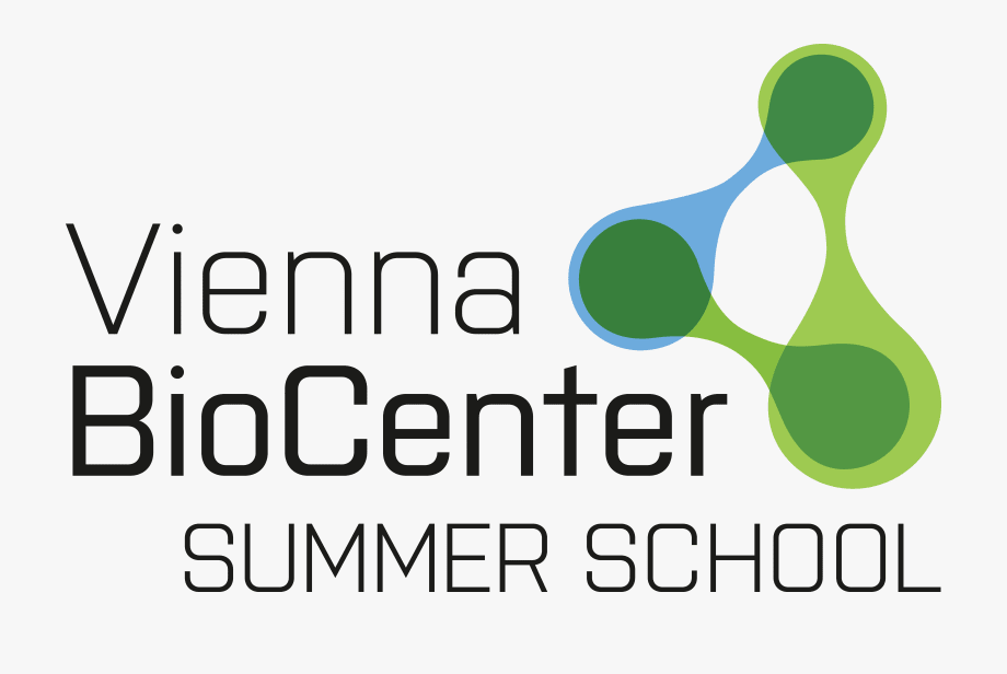منحة مدرسة فيينا الصيفية في النمسا 2020 (ممولة بالكامل)