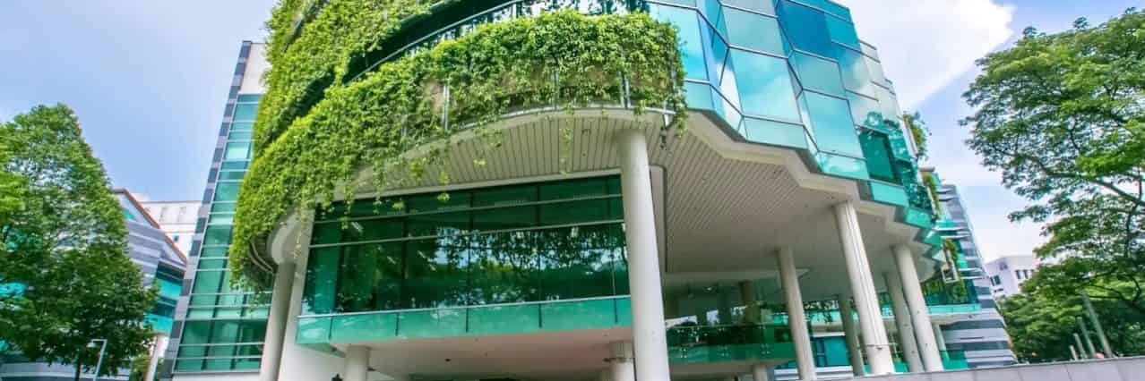 منح جامعة سنغافورة للإدارة لدراسة البكالوريوس في كلية نظم المعلومات 2021