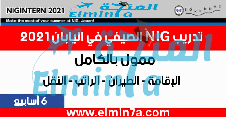 فرصة التقديم في تدريب NIG الصيفي في اليابان 2021 (ممولة بالكامل)