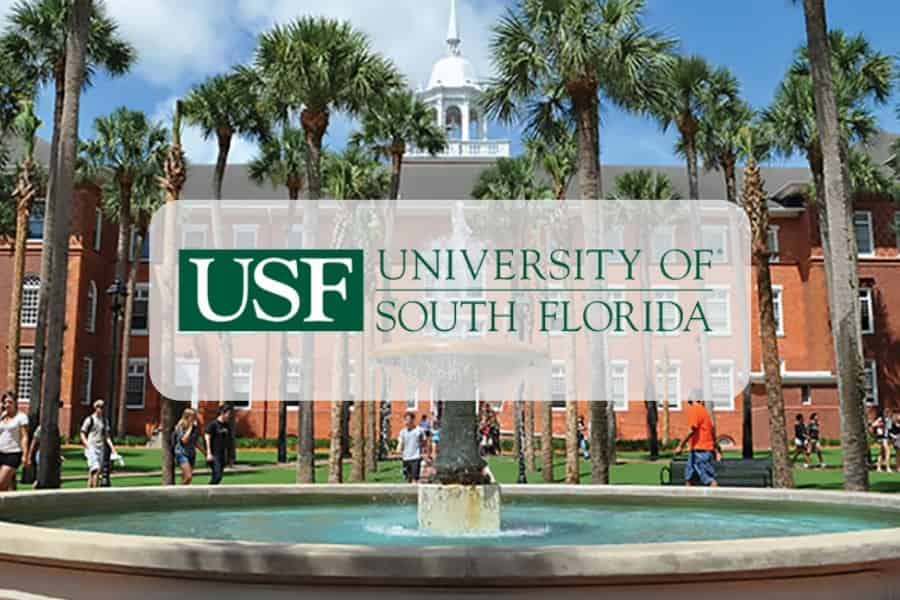 منحة جامعة جنوب فلوريدا FRESHMAN لدراسة البكالوريوس في الولايات المتحدة الأمريكية 2021