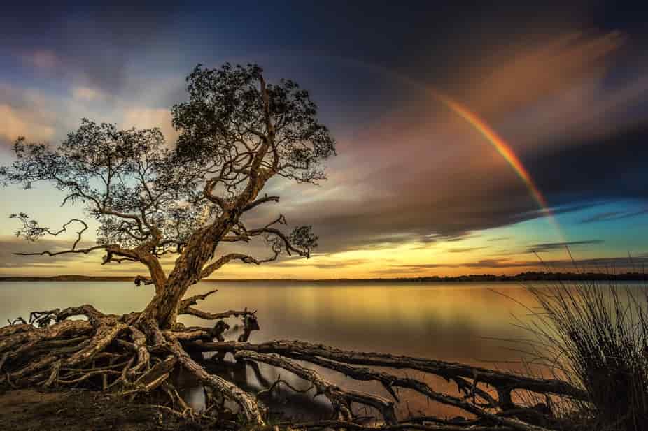 فرصة التقديم في مسابقة Capture Mother Nature Photo Contest والحصول على جائزة 600 دولار أمريكي من ViewBug لعام 2021