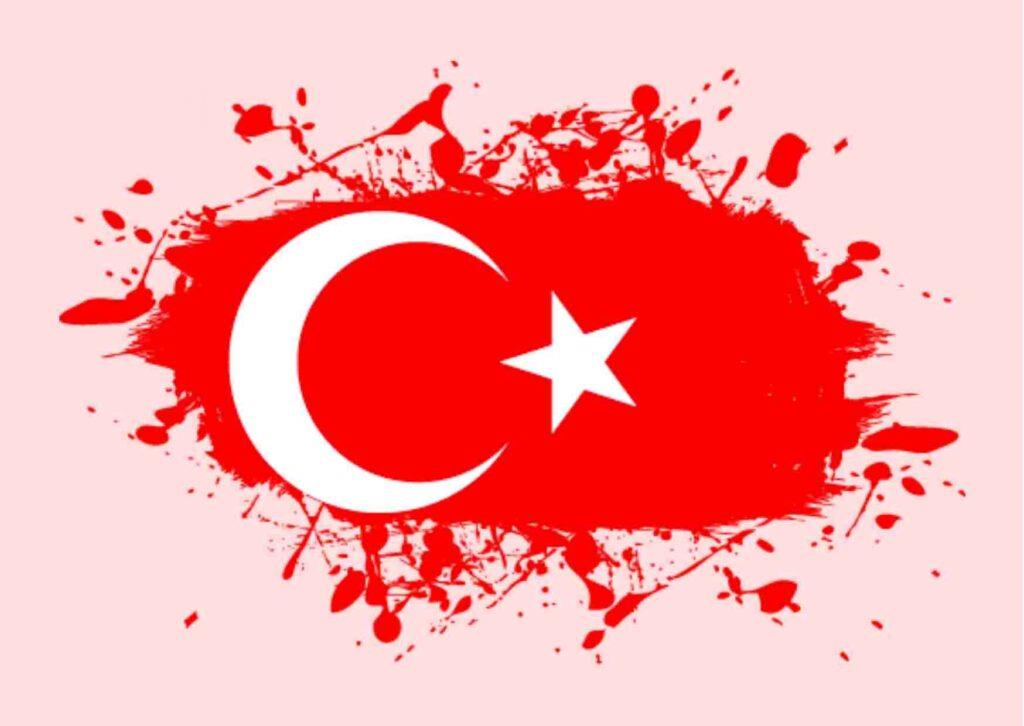 فرصة عمل وتطوع في تركيا براتب شهري ضمن بوابة الشباب الأوروبية 2022 | قدم مجانًا