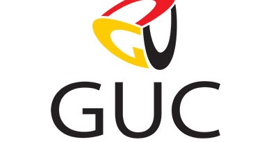 GUC Internship Junior Accountant A R