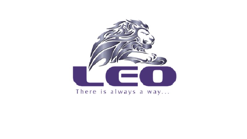 Customer Service at LEO Trading Agency