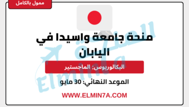 منحة جامعة واسيدا في اليابان لدراسة البكالوريوس والماجستير