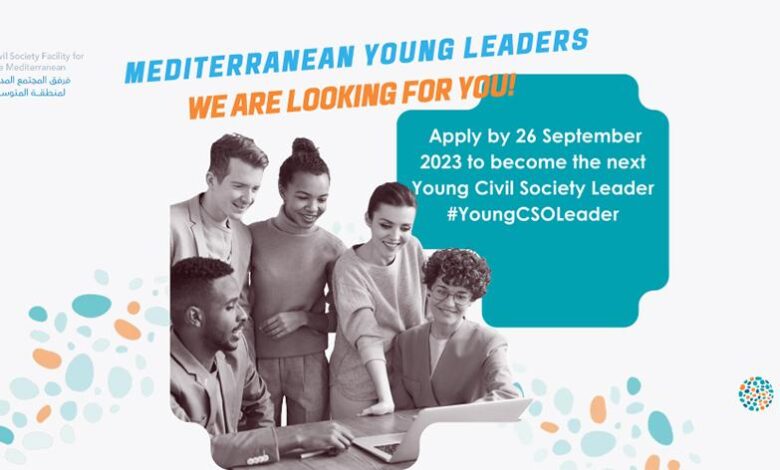 Anna Lindh Foundation Young Civil Society Leadership Program 2023