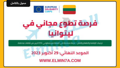 تطوع مدفوع الأجر في ليتوانيا من خلال هيئة التضامن الأوروبي
