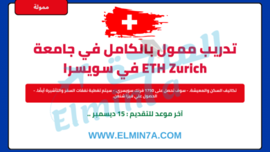 تدريب ETH الصيفي في سويسرا | ممولة بالكامل