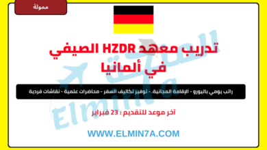 تدريب معهد HZDR الصيفي في ألمانيا