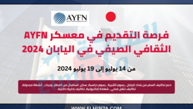 معسكر AYFN الثقافي الصيفي في اليابان 2024 (ممول بالكامل)