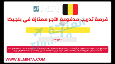 تدريب معهد سياسات الهجرة في أوروبا | تدريب مدفوع الأجر في بلجيكا