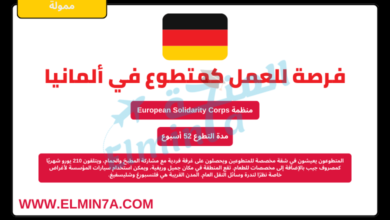 فرصة للعمل كمتطوع في بولندا مع توفير الإقامة وتذاكر الطيران