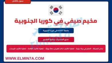 مخيم صيفي في جامعة KAIST في كوريا الجنوبية | ممول بالكامل