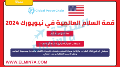 قمة السلام العالمية 2024 في نيويورك، الولايات المتحدة الأمريكية | مقاعد ممولة بالكامل ومقاعد ممولة جزئيًا