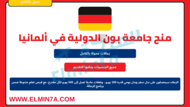 منح زمالات جامعة بون الدولية للدراسة في ألمانيا | ممولة بالكامل