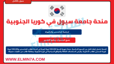 منحة الدراسات العليا في جامعة سيول في كوريا الجنوبية | برنامج GSFS