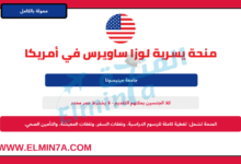 منحة يسرية لوزا ساويرس في الولايات المتحدة الأمريكية ممولة بالكامل