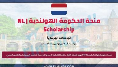 منحة حكومة هولندا من قبل وزارة التعليم الهولندية لدراسة البكالوريوس والماجستير | ممولة