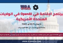 برنامج الإقامة في OpenAI في الولايات المتحدة الأمريكية (بدعم تأشيرة)