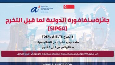 جائزةسنغافورة الدولية لما قبل التخرج (SIPGA)