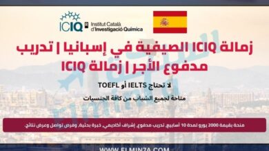 زمالة ICIQ الصيفية في إسبانيا | تدريب مدفوع الأجر | زمالة ICIQ