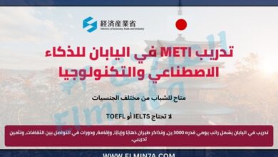 برنامج التدريب الصيفي لمواهب الذكاء الاصطناعي والتقنية (METI) في اليابان | ممول بالكامل