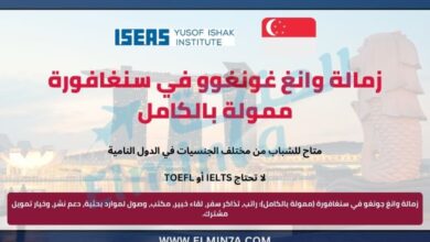 🌏 فرصة التقديم في زمالة وانغ غونغوو في سنغافورة | ممولة بالكامل