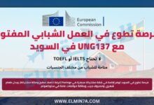 فرصة تطوع في العمل الشبابي المفتوح مع UNG137 في هانينج، السويد