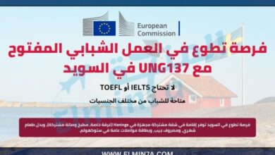 فرصة تطوع في العمل الشبابي المفتوح مع UNG137 في هانينج، السويد