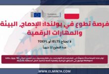 فرصة تطوع في بولندا: الإدماج، البيئة والمهارات الرقمية