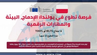 فرصة تطوع في بولندا: الإدماج، البيئة والمهارات الرقمية