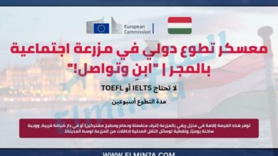 معسكر تطوع دولي في مزرعة اجتماعية بالمجر | "ابنِ وتواصل!"