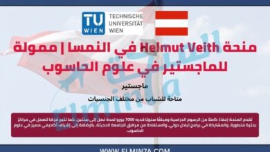 منحة Helmut Veith في النمسا | ممولة للماجستير في علوم الحاسوب