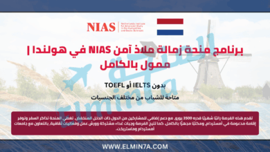 منحة NIAS Safe Haven Fellowship في هولندا 2026 | ممولة بالكامل 3 منحة NIAS Safe Haven Fellowship في هولندا 2026 | ممولة بالكامل
