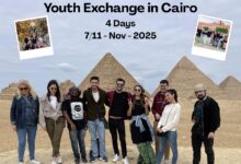 539891085 18054168854570671 4375934772776912719 n