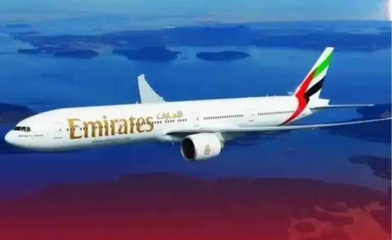 uae job 768x545.jpg 2025 09 06 19 13 45