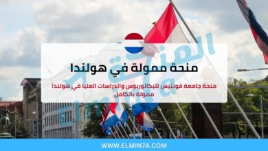منحة جامعة فونتيس للبكالوريوس والدراسات العليا في هولندا ممولة بالكامل 5 منحة جامعة فونتيس للبكالوريوس والدراسات العليا في هولندا ممولة بالكامل