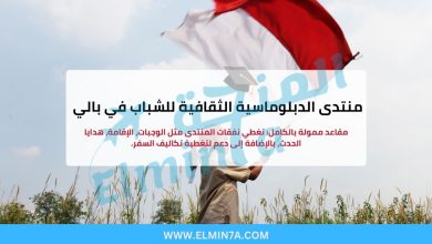 منتدى الدبلوماسية الثقافية للشباب في بالي (فرص ممولة بالكامل وجزئيًا)
