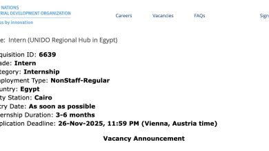 تدريب ممول من الأمم المتحدة في مصر (القاهرة) مع منظمة UNIDO