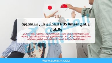 برنامج NUS Amgen للباحثين 2026 في سنغافورة واليابان (ممولة بالكامل)