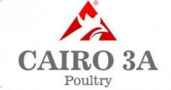 اخصائي حركة سيارات (الاسكندرية) - أمبروز ومحرم بك - الاسكندرية